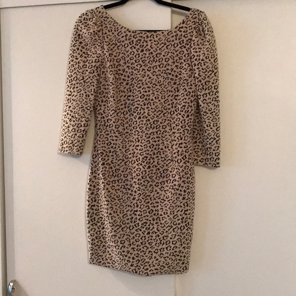 Blush Leopard dress 3/4 sleeve